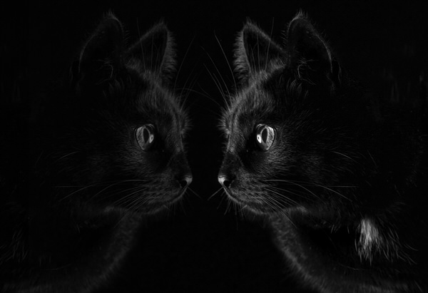Photograph Marc Sabat Be Yourself on One Eyeland