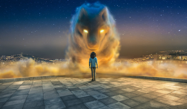 Photograph Diego Aguilar Carrera Trascend Wolf on One Eyeland