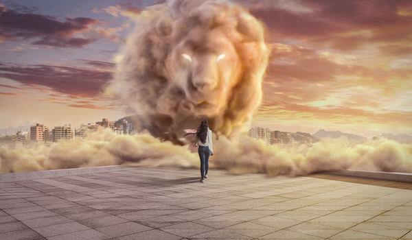 Photograph Diego Aguilar Carrera Trascend Lion on One Eyeland