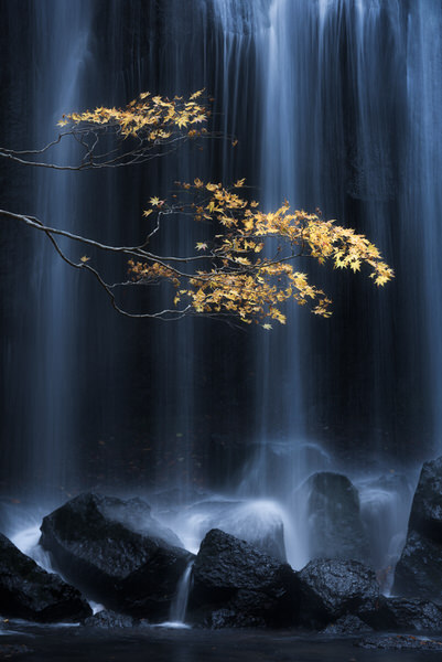 Photograph Yuki Yatsushima Yellow on One Eyeland