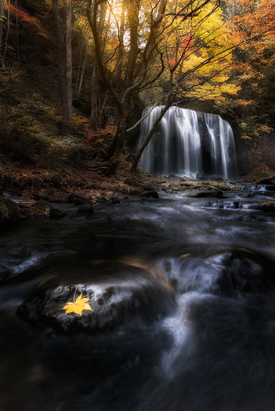 Photograph Yuki Yatsushima Yellow Autumn on One Eyeland