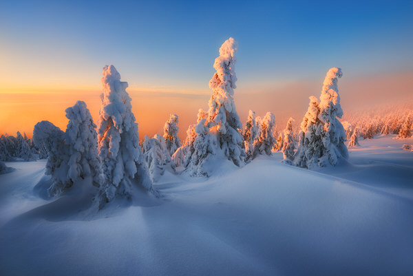 Photograph Zsolt Andras Szabo Wait For Sleep on One Eyeland