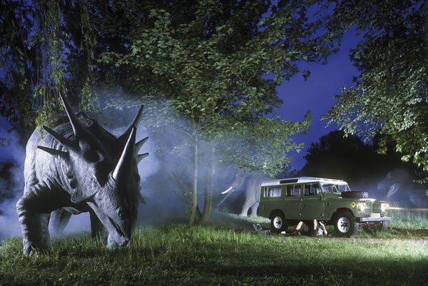 Photograph Dirk Kruell Wildlife Green on One Eyeland