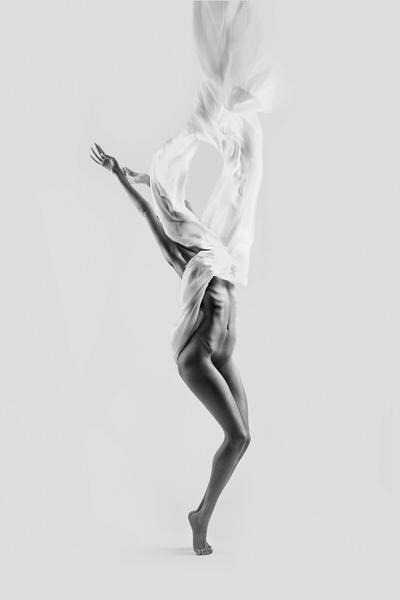 Photograph Arvin Kocharian Fly on One Eyeland