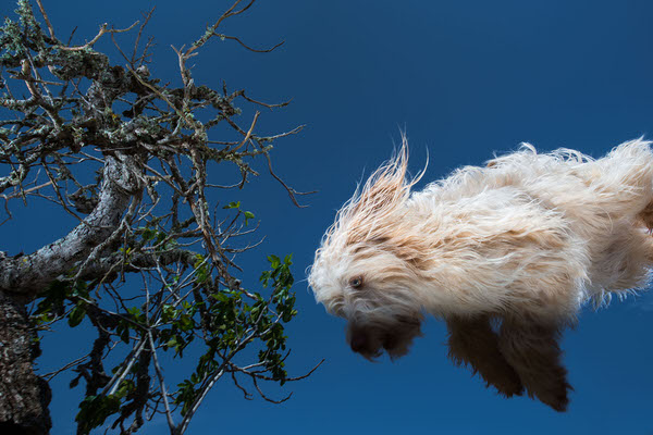 Photograph Dirk Kruell Creatures on One Eyeland