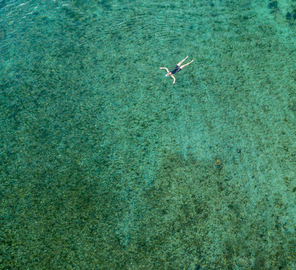 Photograph Rodger Shagam Floating In A Tidal Pool on One Eyeland