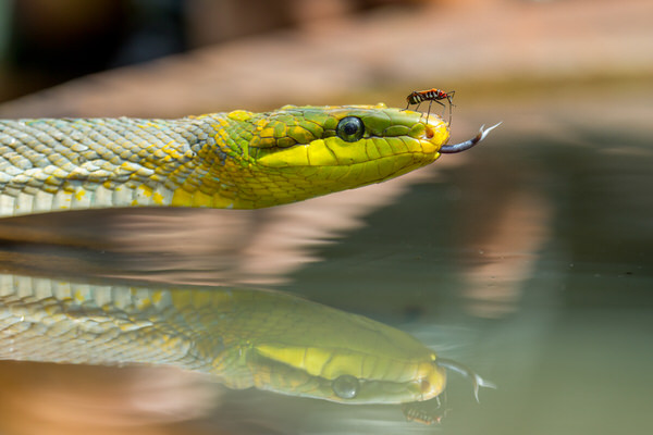 Photograph Iwan A Saputra Nice Buddy on One Eyeland