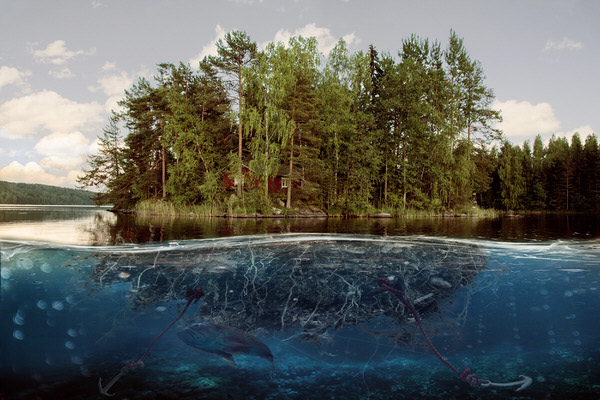 Photograph Saku Tiainen The Guardian Of The Summer Cottage on One Eyeland