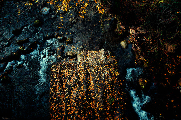 Photograph George Grizhev The River Of Life on One Eyeland