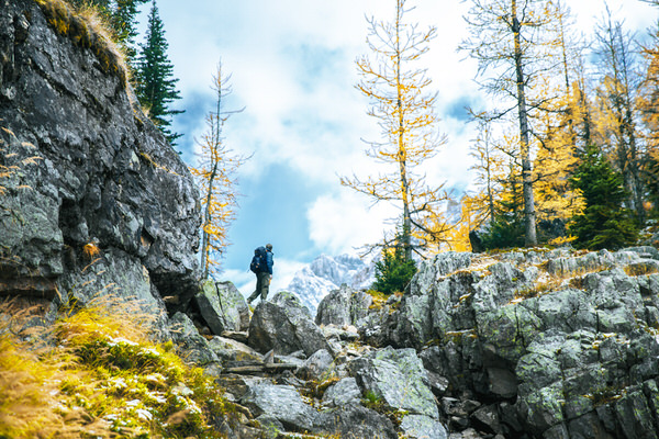 Photograph Marko Radovanovic Alpine Heaven on One Eyeland
