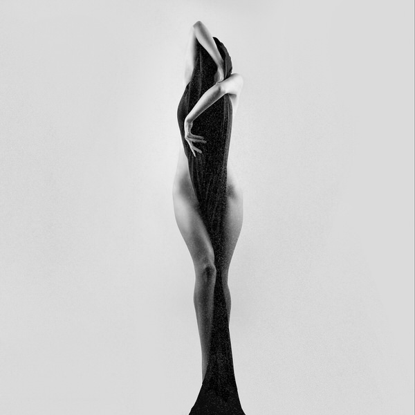 Photograph Arvin Kocharian Tulip on One Eyeland