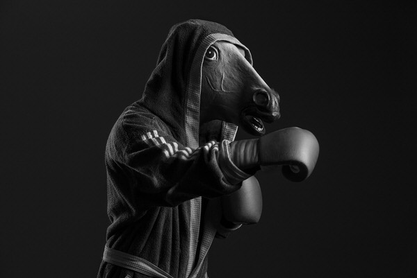 Photograph Marc Sabat The Punch Of The Stallion on One Eyeland