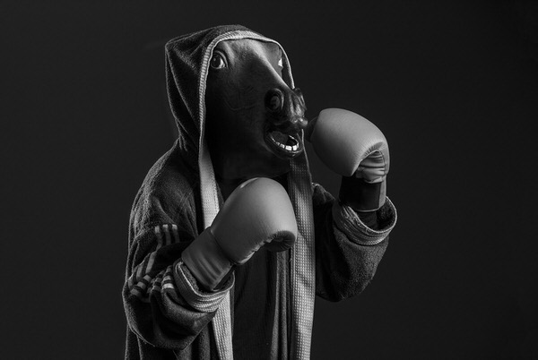 Photograph Marc Sabat On The Ring on One Eyeland