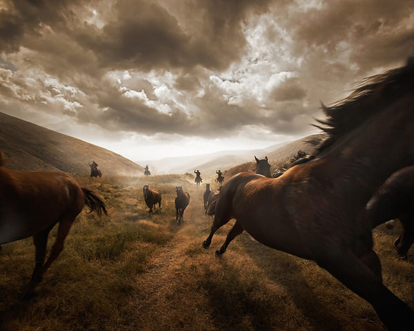 Photograph Chris Gordaneer Horses 1 on One Eyeland