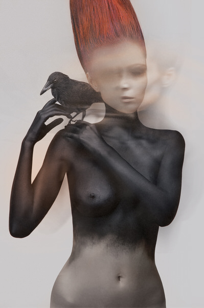 Photograph Arvin Kocharian Fallen Raven on One Eyeland