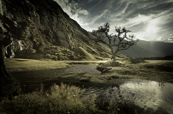 Photograph Chris Gordaneer New Zealand 1 on One Eyeland