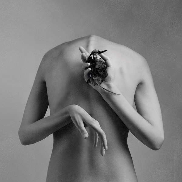 Photograph Arvin Kocharian Take A Bow on One Eyeland