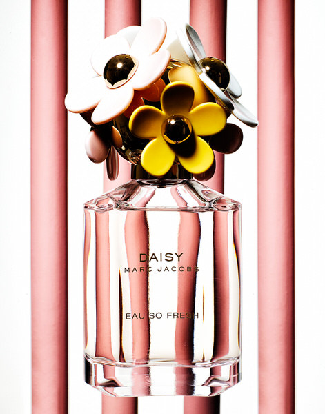 Photograph Matt Stacey Fragrance on One Eyeland