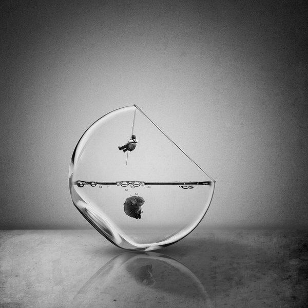 Photograph Agniribe Mada Rescue on One Eyeland