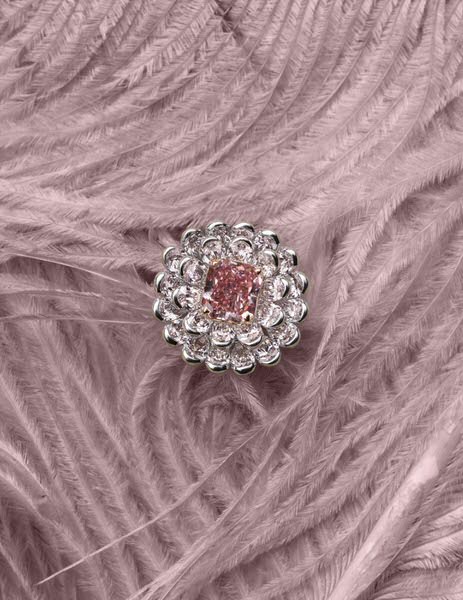 Photograph Jonathan Knowles Luxury Ring on One Eyeland
