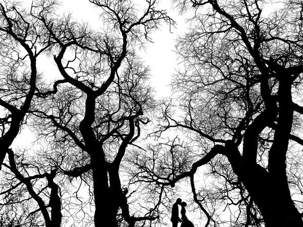 Photograph Pavel Pomoleyko Wedding Couple Among The Dark Trees on One Eyeland