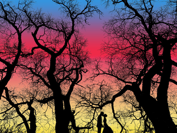 Photograph Pavel Pomoleyko Among The Trees on One Eyeland