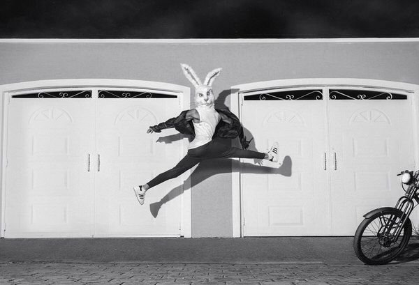 Photograph Paul Egas Te Las Canto Conejo Tuenti on One Eyeland