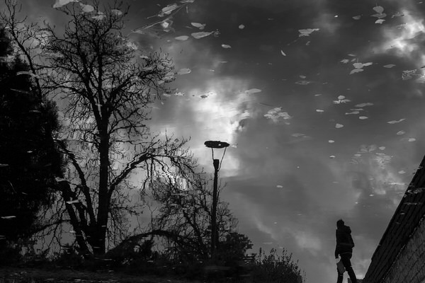 Photograph Ozer Ozmen Reflection on One Eyeland