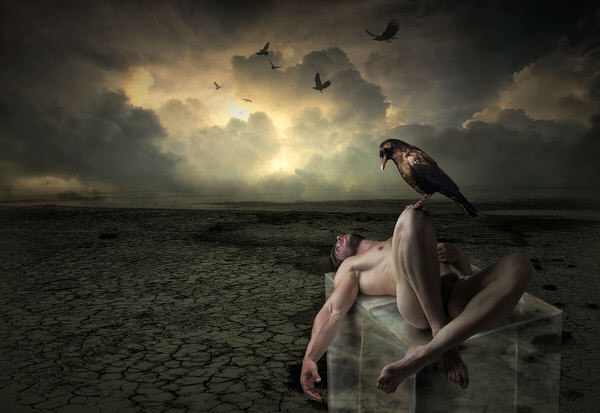 Photograph Ddiarte Ddiarte The Crow on One Eyeland