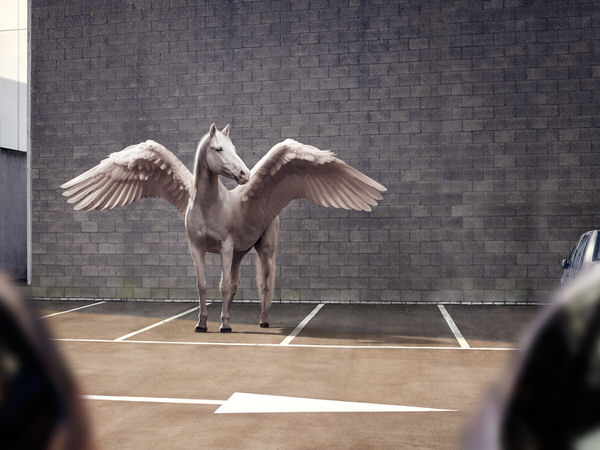 Photograph Michele Secchi Urban Flying Objects on One Eyeland