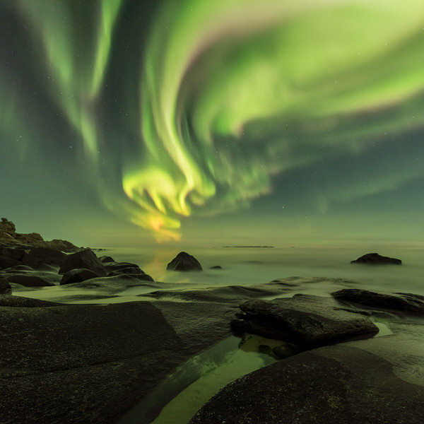 Photograph Jan Smid Dancing Queen on One Eyeland