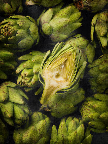 Photograph Steven Moeder Artichokes on One Eyeland