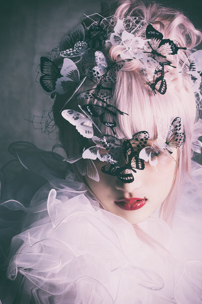 Photograph Daisuke Kiyota Eclosion on One Eyeland