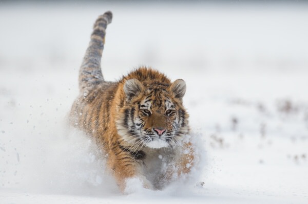 Photograph Alena Bednarova Onward on One Eyeland