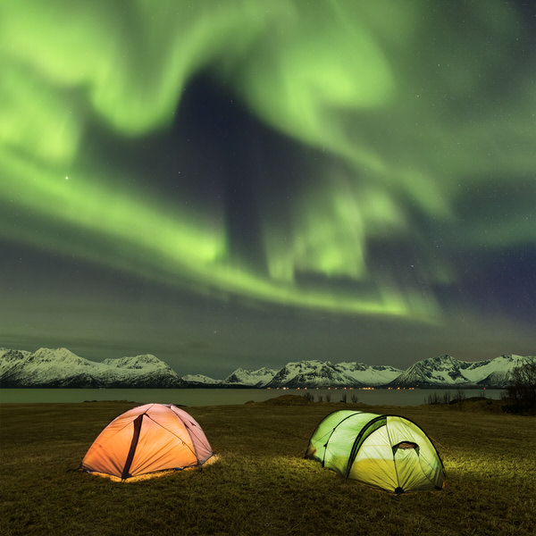 Photograph Jan Smid Trilled Songs Of Heaven Bird on One Eyeland