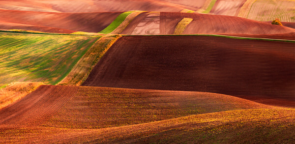 Photograph Jan Smid Signature Of A Crazy Tractor Drive on One Eyeland