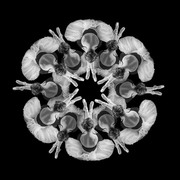 Photograph Marc Sabat Gardenia on One Eyeland