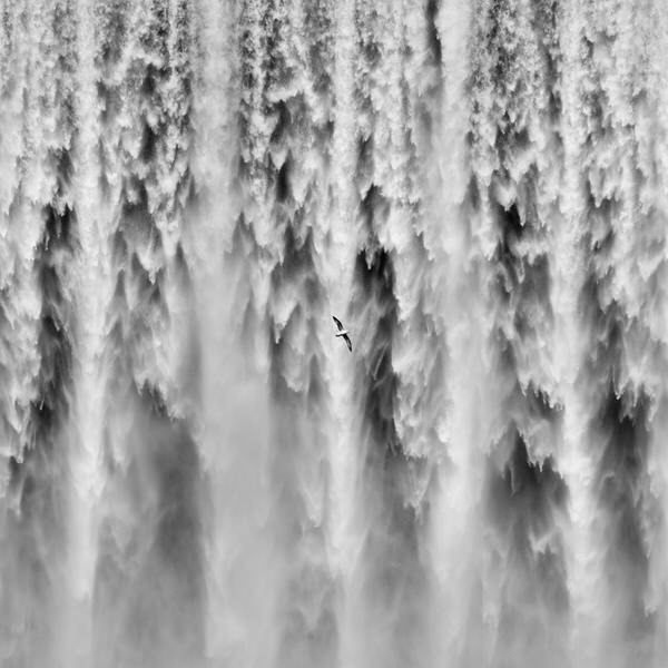 Photograph Tim Booth Updraft on One Eyeland