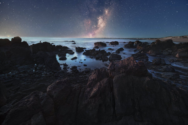 Photograph Gonzalo Santile The Seagull And The Sea on One Eyeland