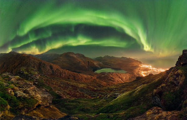 Photograph Jan Smid Green Bow on One Eyeland