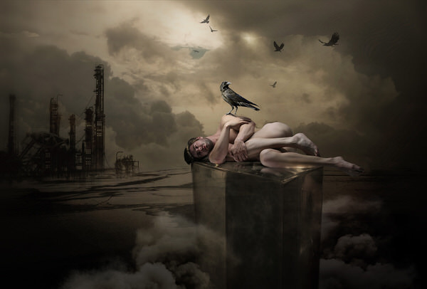 Photograph Ddiarte Ddiarte The Crow Ii on One Eyeland