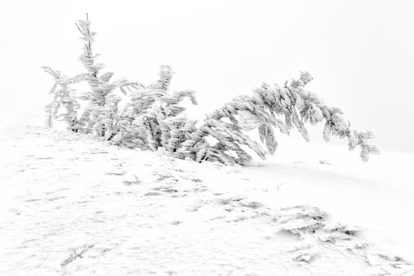 Photograph Lubos Balazovic Frozen In Time on One Eyeland