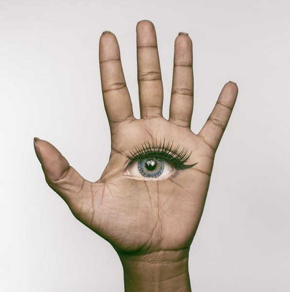 Photograph Marc Sabat Symbiosis on One Eyeland