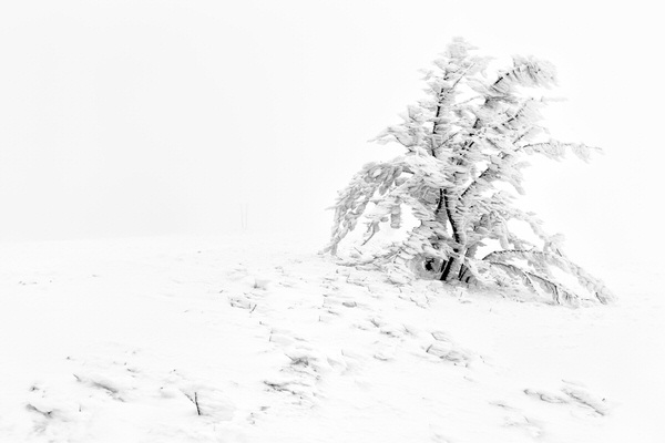 Photograph Lubos Balazovic Frozen In Time Ii on One Eyeland
