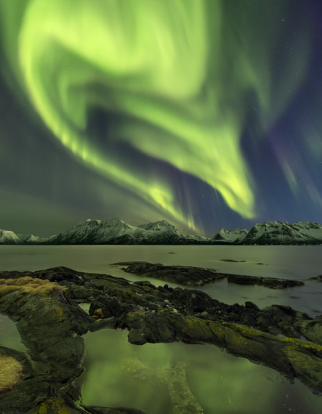 Photograph Jan Smid Aliens Head on One Eyeland