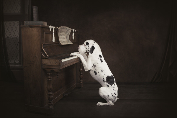 Photograph Carola Kayen Mouthaan The New Motzart on One Eyeland