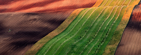 Photograph Jan Smid Diagonals on One Eyeland