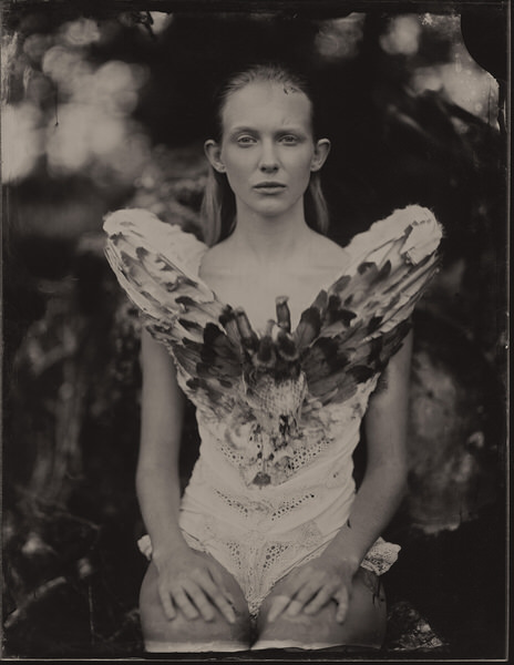 Photograph Monika Cichoszewska Butterfly Aliens on One Eyeland