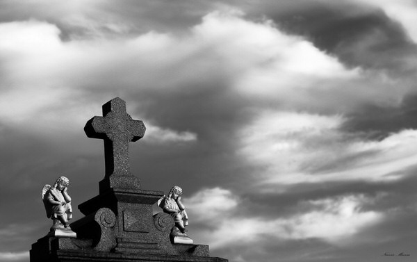 Photograph Mursa Narcis Waiting For Eternity on One Eyeland