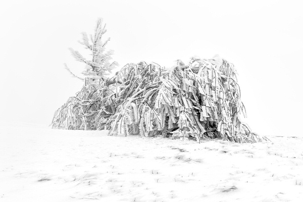 Photograph Lubos Balazovic Frozen on One Eyeland